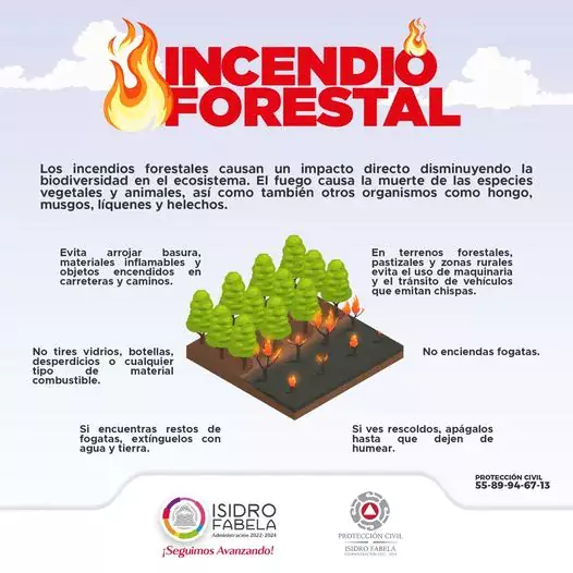 Evita los IncendiosForestales Emergencias al 911 o 5589946713 SeguimosAvan jpg