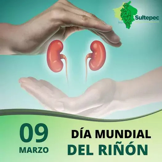 Hoy se celebra el Dia Mundial del Rinon Un dia jpg