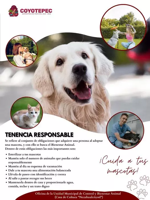 I TenenciaResponsable ¿Sabias que Para tener una mascota necesitas cumplir jpg