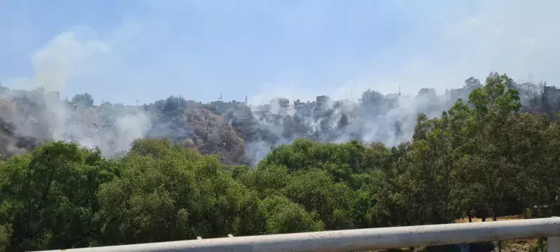 La mayoria de los incendios son provocados muchos de ellos jpg