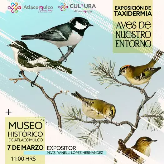 Ya inauguramos la exposicion Aves de nuestro entorno de la jpg