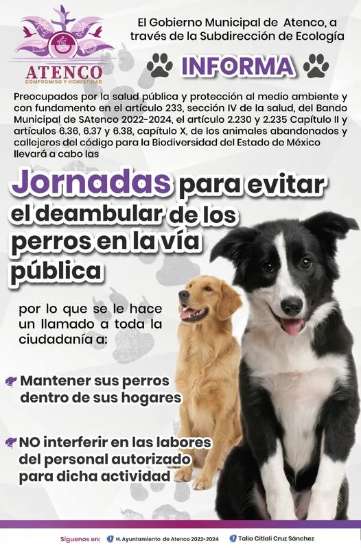 ¡INFORMACION IMPORTANTE jpg