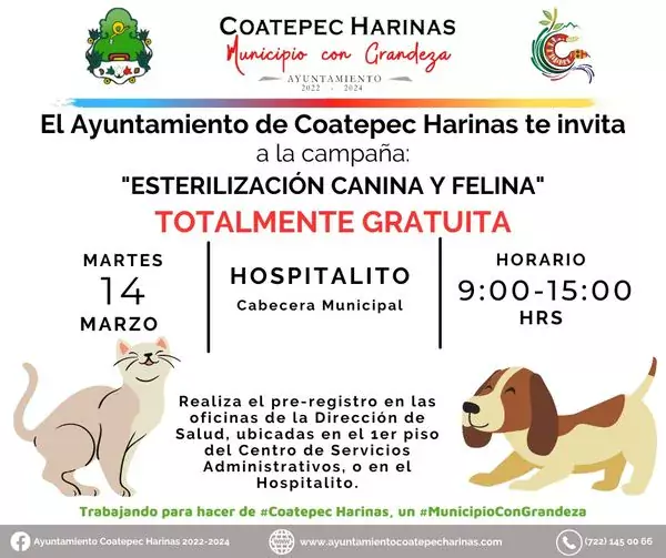 ¡La Campana de Esterilizacion Canina y Felina esta por llegar jpg