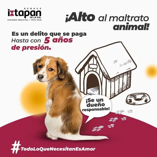 ¡No mas maltrato animal Denuncia cualquier forma de maltrato que jpg