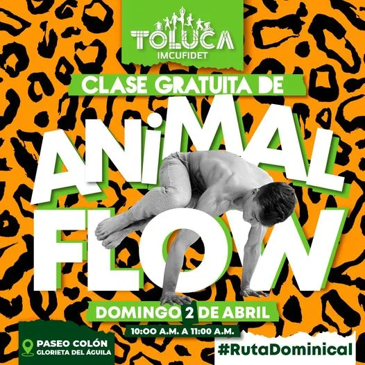 Te esperamos en nuestra clase “Animal Flow” en el Águila de Colón a las  10:00 - Estado de México