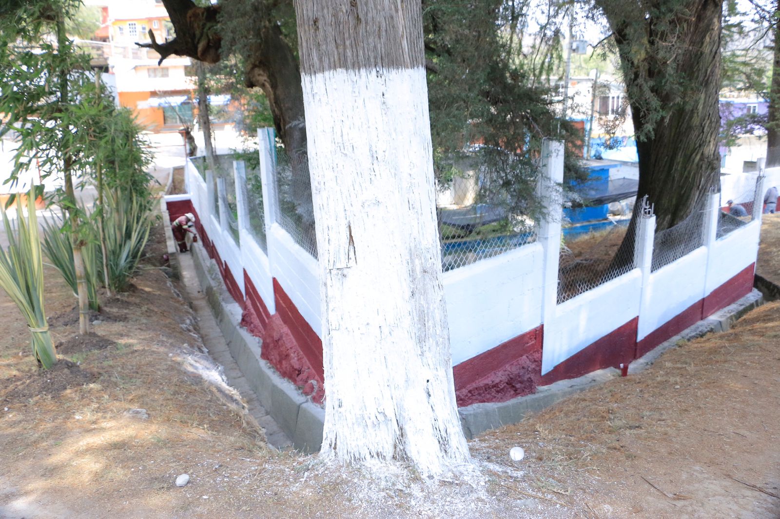 1680361282 478 Queda como nuevo el parque Ojo de Agua de Mayorazgo