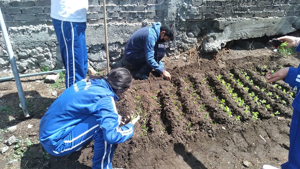 1680444503 903 Adaptando instalaciones para huerto escolar en la Telesecundaria Quetzalcoatl