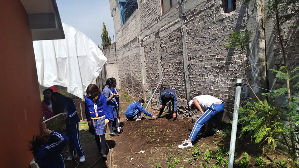 1680444507 782 Adaptando instalaciones para huerto escolar en la Telesecundaria Quetzalcoatl