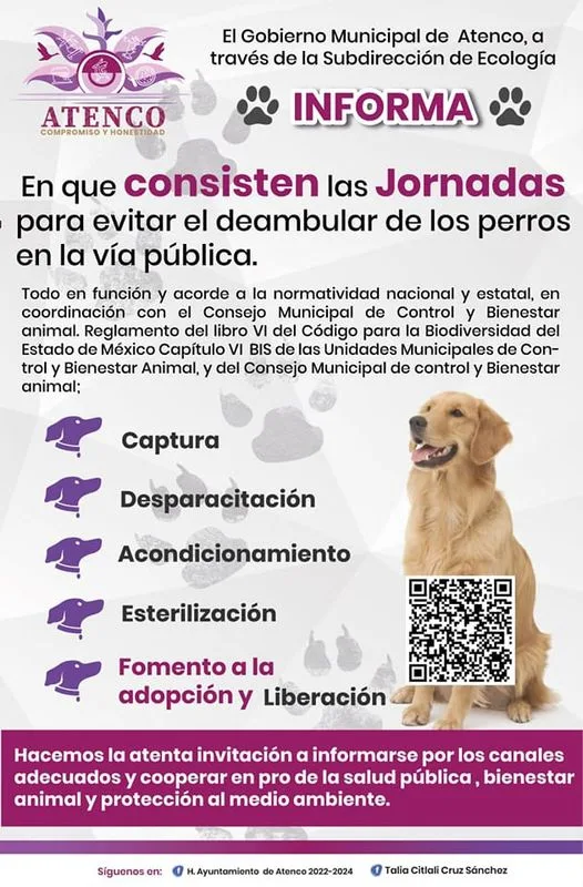 1680462288 INFORMACION IMPORTANTE jpg