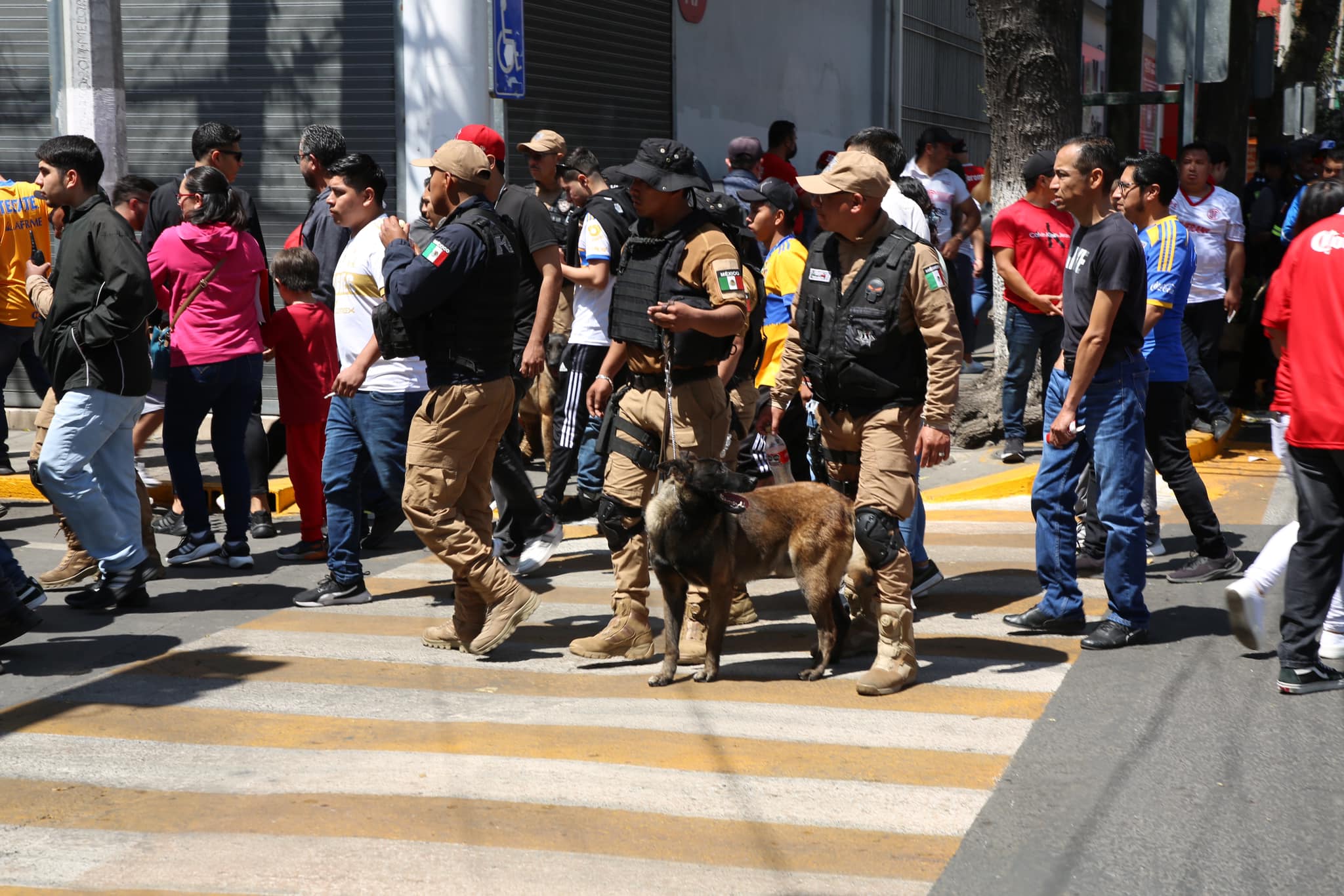 1680466401 101 ¡Estamos trabajando para que el Estadio Nemesio Diez sea el