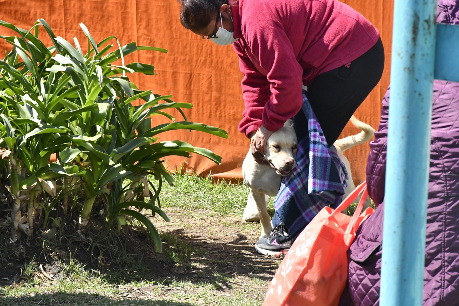 1680544403 449 El proximo 12 de abril se realizaran esterilizaciones caninas y