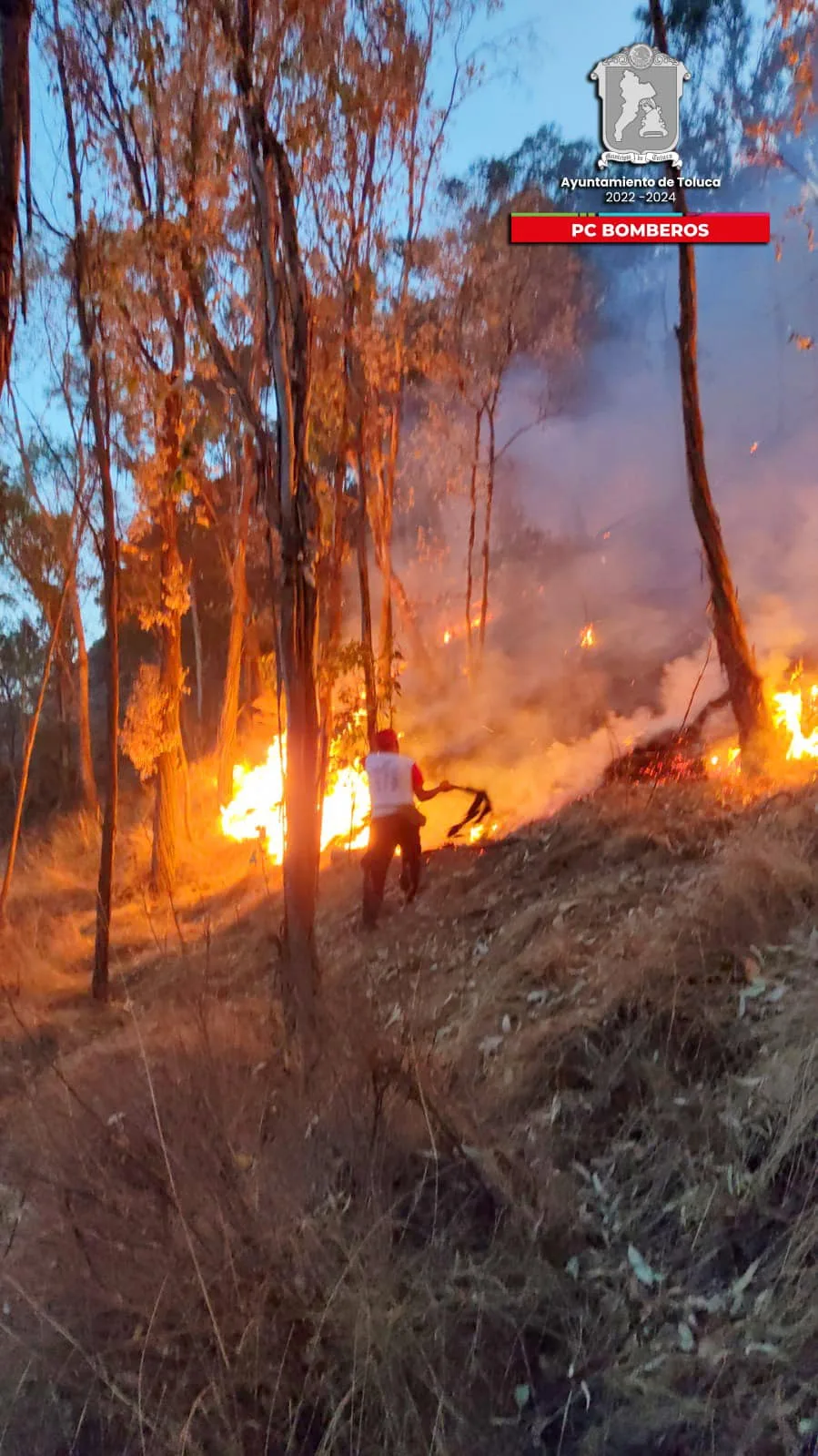 1680787441 INCENDIO Derivado de un reporte ciudadano nuestro Heroico Cuerpo jpg