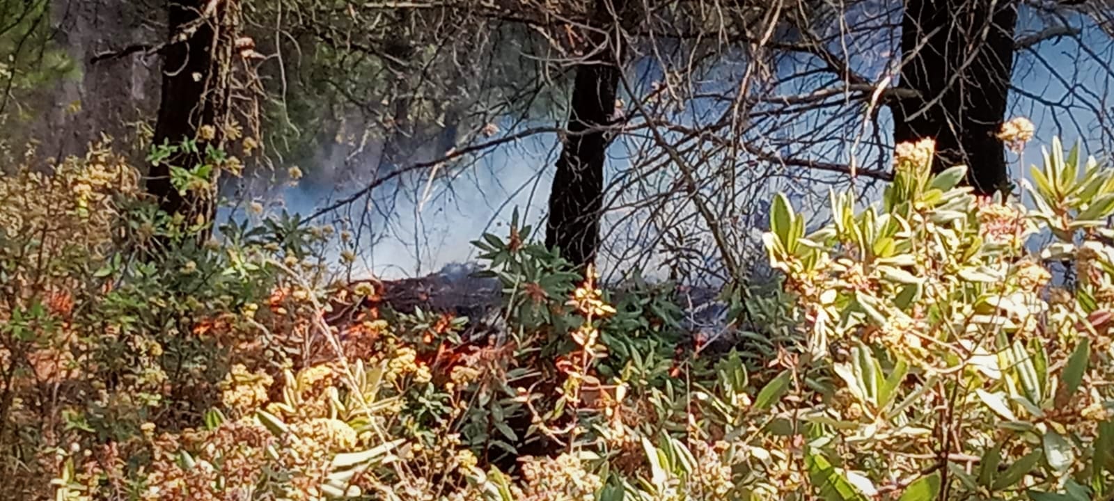 1680824294 135 En este momento se combate un incendio forestal en la