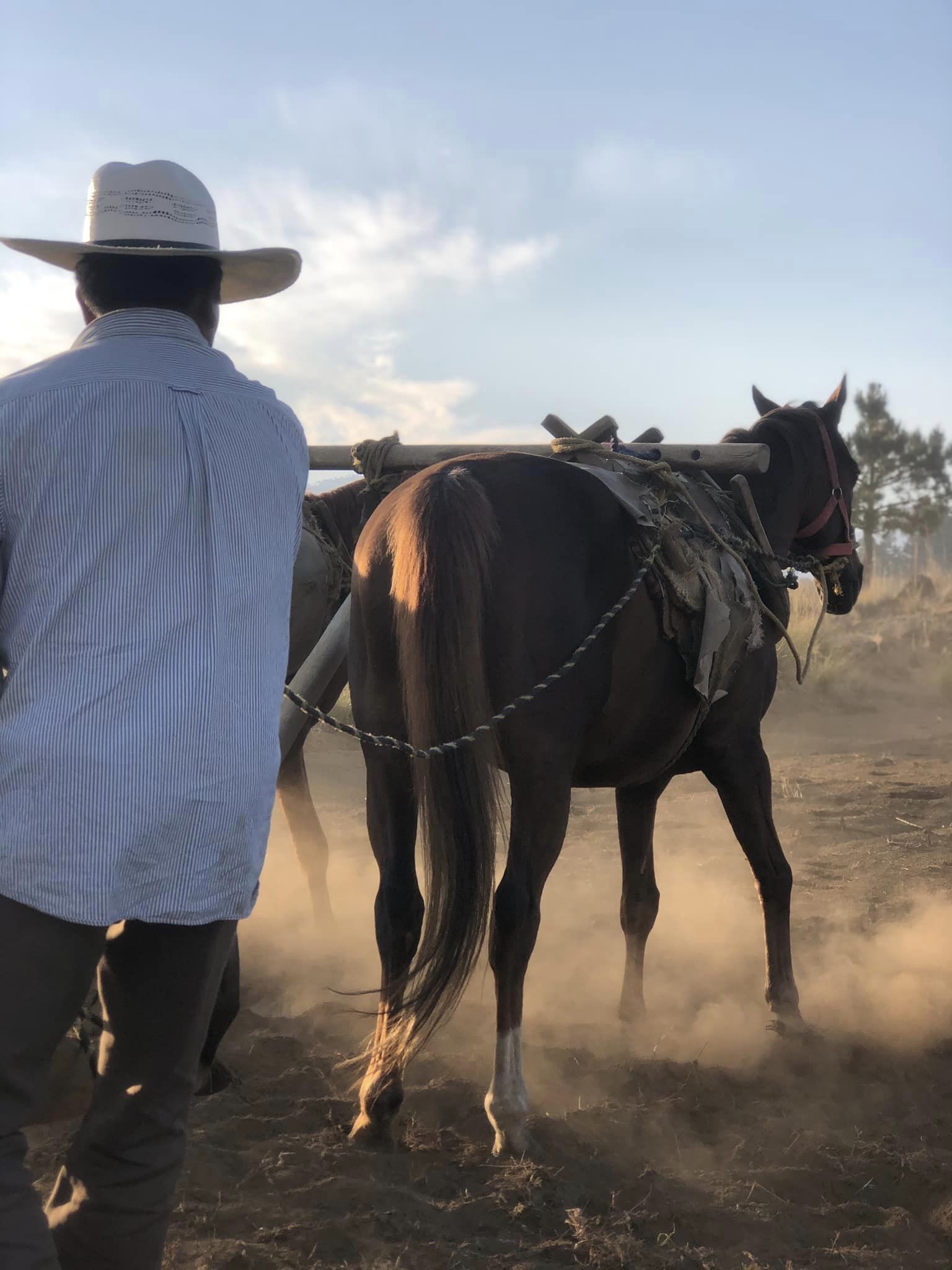 1680893359 66 Una escena de trabajo vida e historia en Xalatlaco