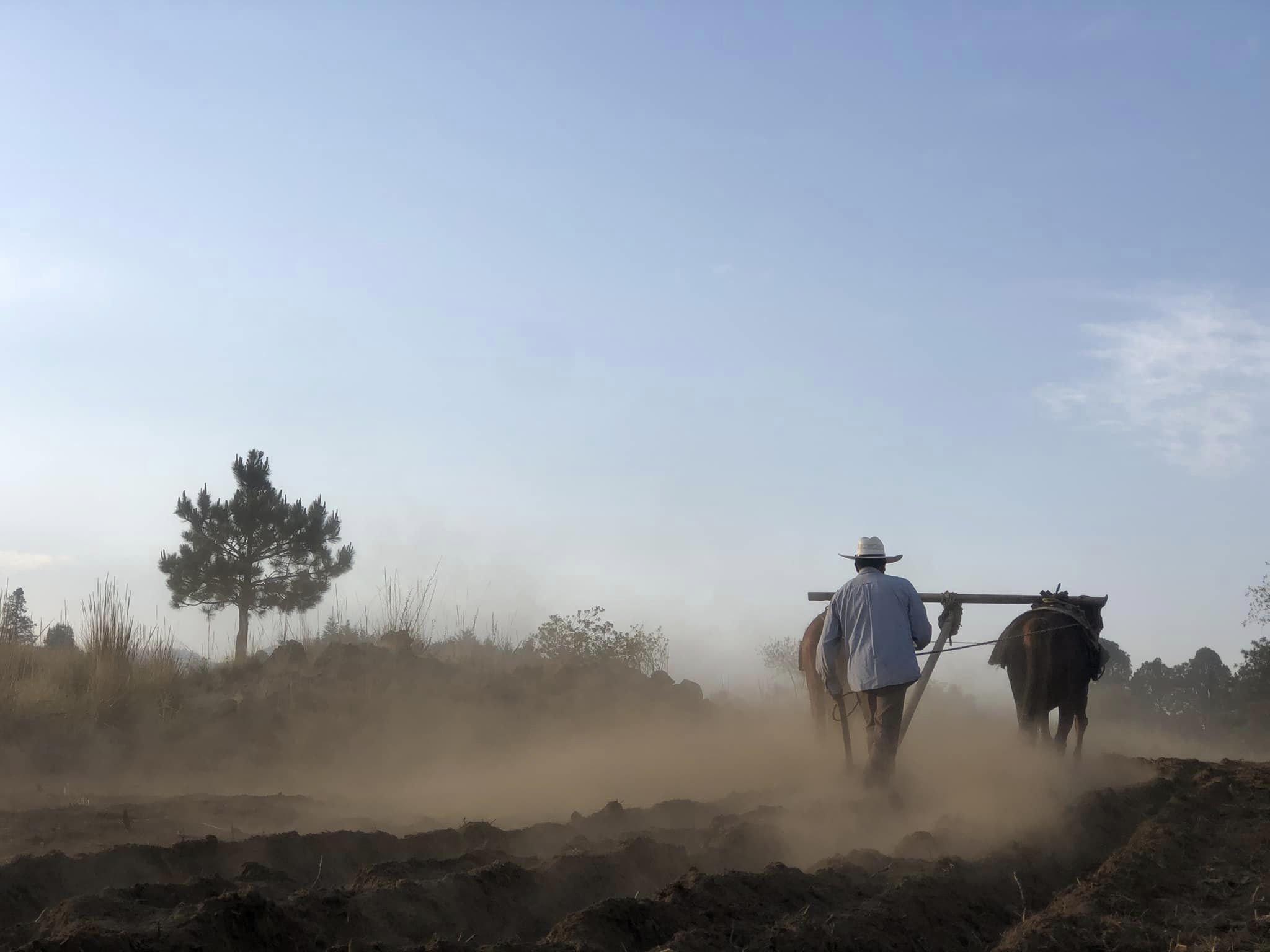 1680893363 533 Una escena de trabajo vida e historia en Xalatlaco