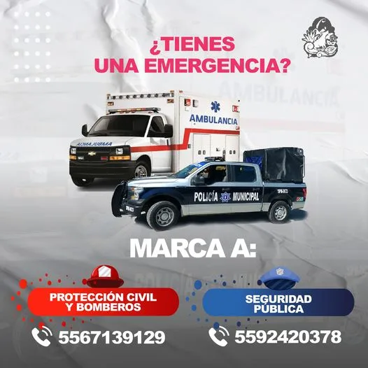 1680899630 Si tienes alguna emergencia te dejamos los numeros de Proteccion jpg