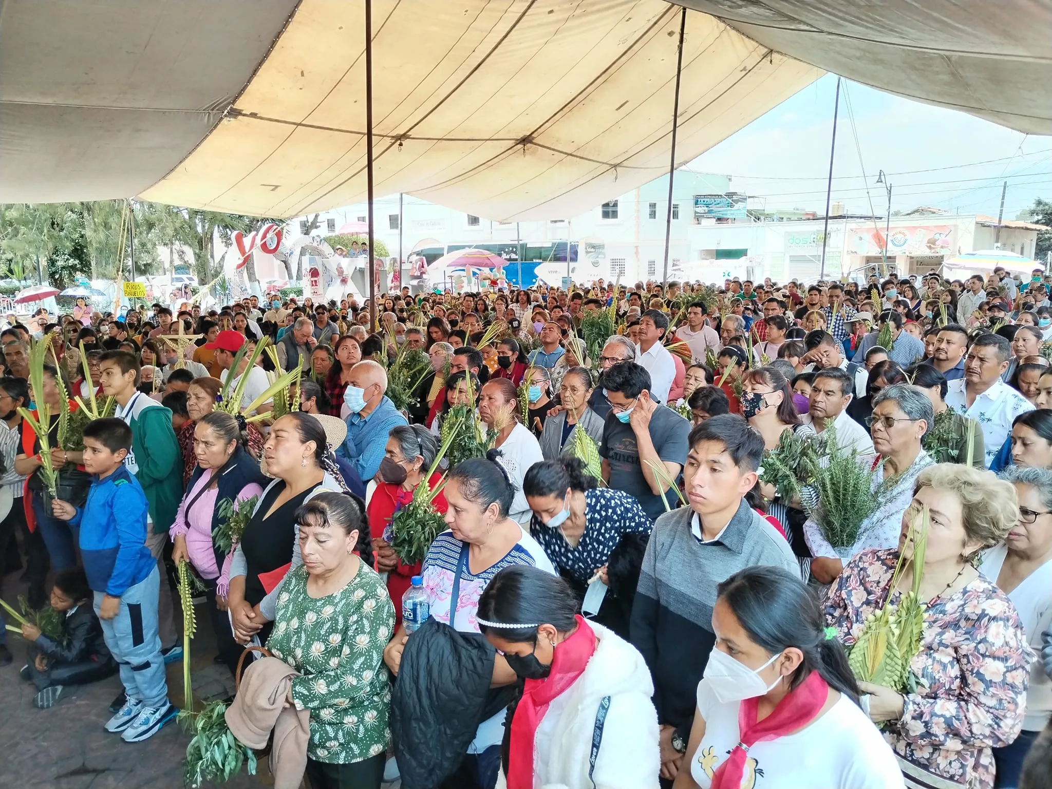 1680903453 Domingo de Ramos en Ixtlahuaca jpg