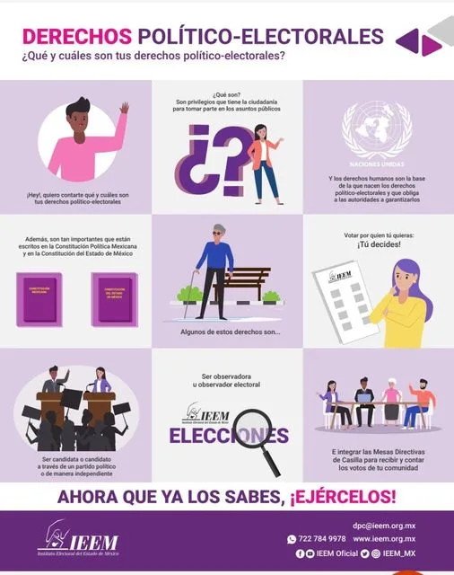 1680908453 Los derechos politico electorales son derechos humanos que te permiten jpg