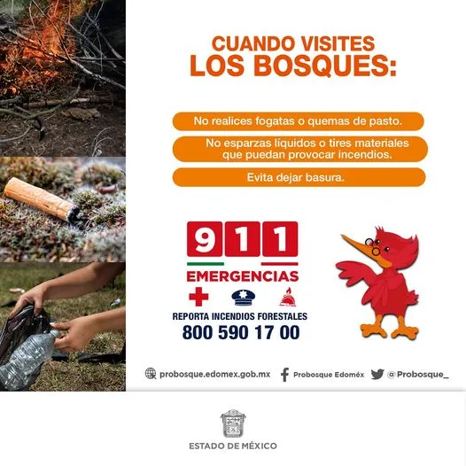 1681059310 Cuidemos nuestros bosques evitemos incendios forestales Jiquipilco jpg