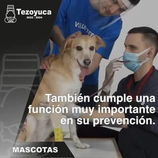 1681083436 Importancia del veterinario