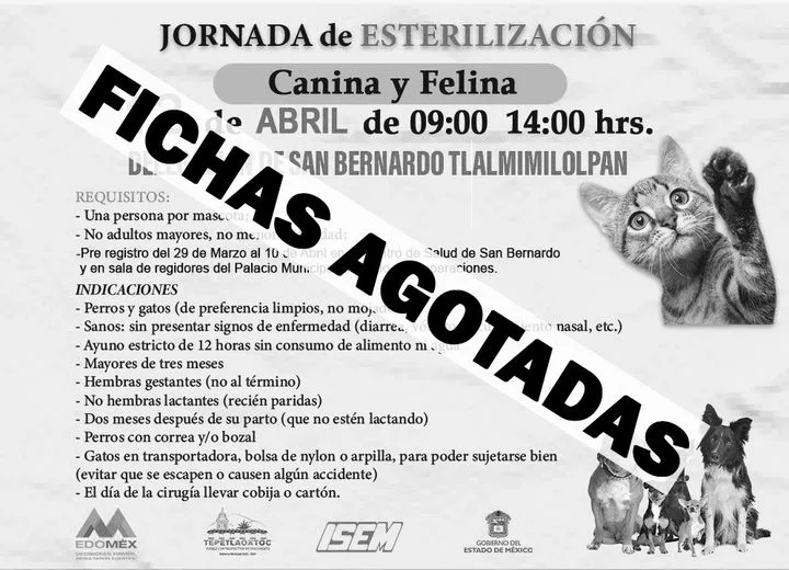 1681151750 ATENCION jpg