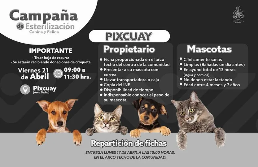 1681161836 EN PIXCUAY ESTERILIZACION GRATUITA CANINA Y FELINA jpg