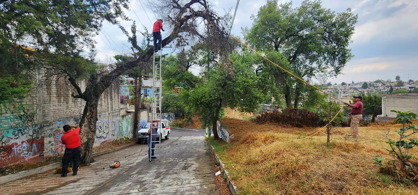 1681217532 Bomberos y Proteccion Civil trabajan en el retiro de un