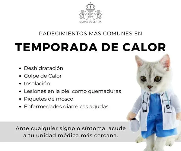 1681217926 En esta TemporadaDeCalor cuida de tu salud y la de jpg