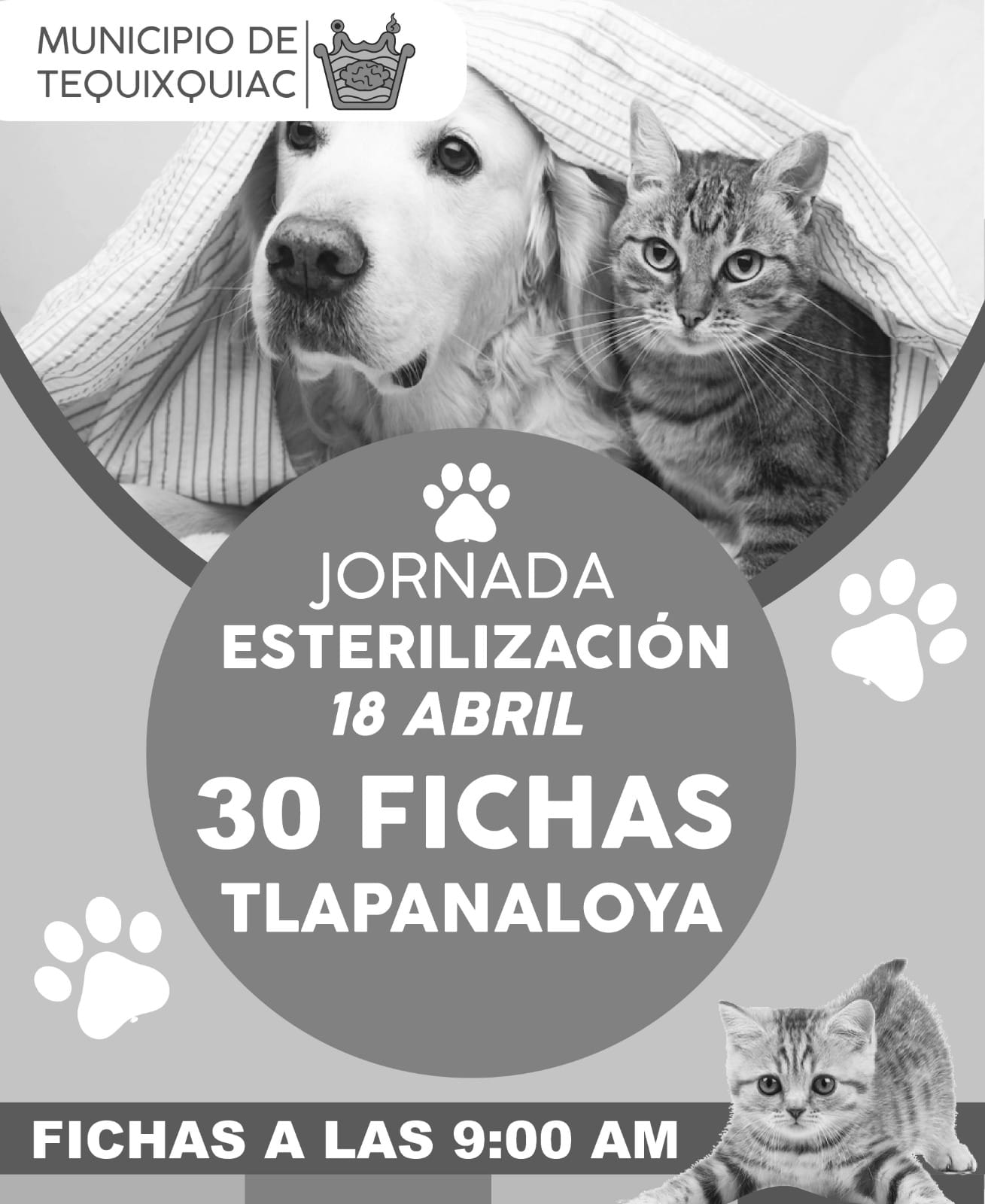 1681241655 21 Nuestras y nuestros peluditos son parte de la familia recuerda