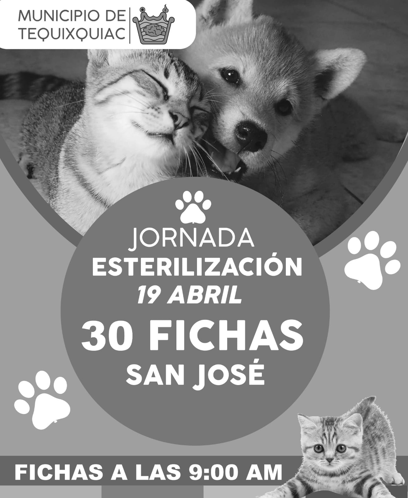 1681241659 428 Nuestras y nuestros peluditos son parte de la familia recuerda