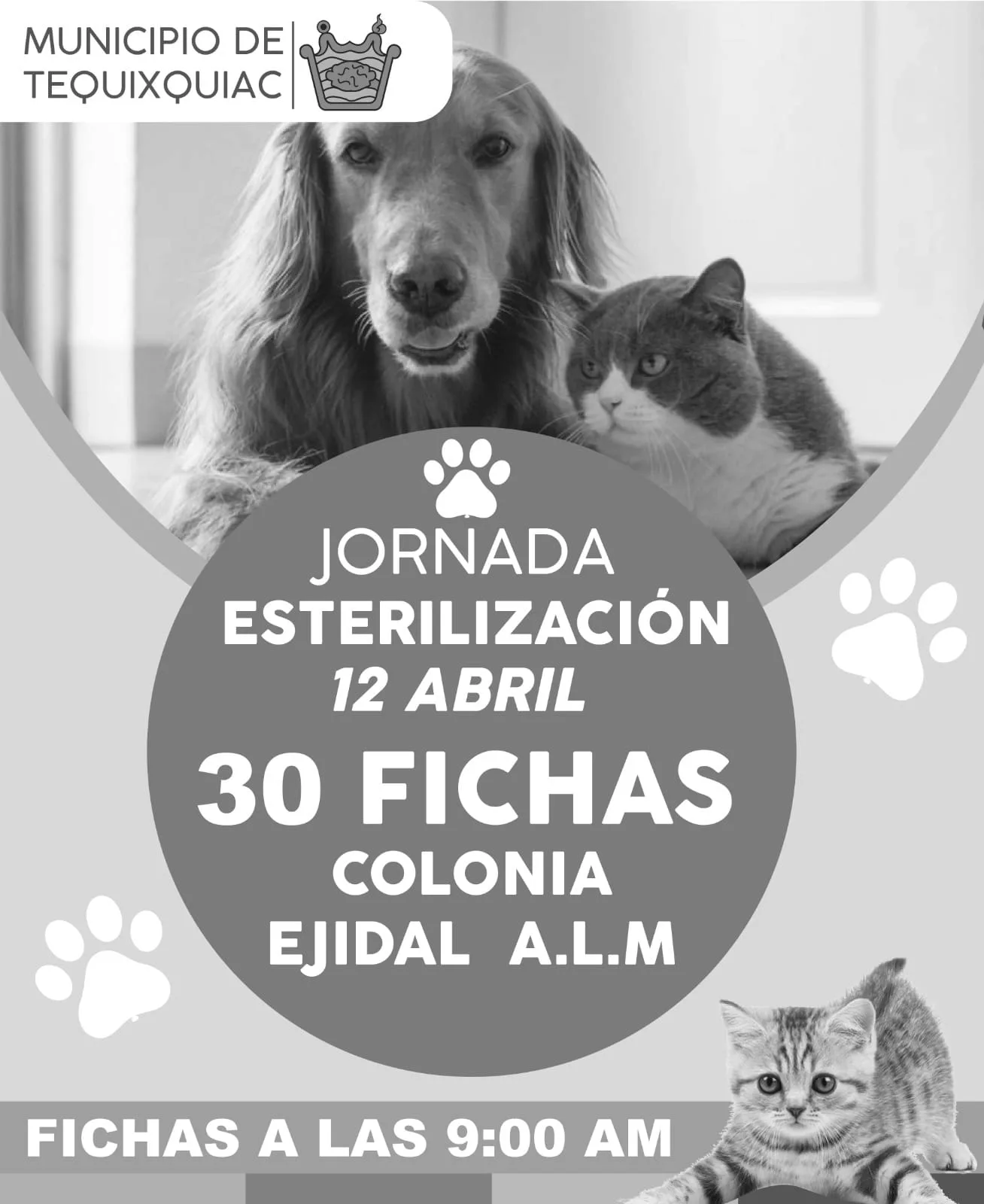 1681241705 Nuestras y nuestros peluditos son parte de la familia recuerda jpg