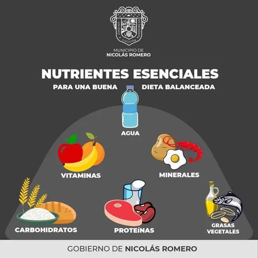 1681246543 Cuida tu salud con una dieta balanceada jpg