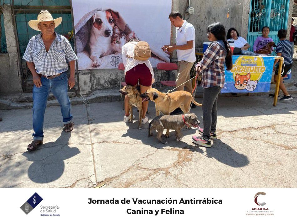 1681338734 673 Estamos en campana de vacunacion antirrabica Acercate como DuenosResponsables