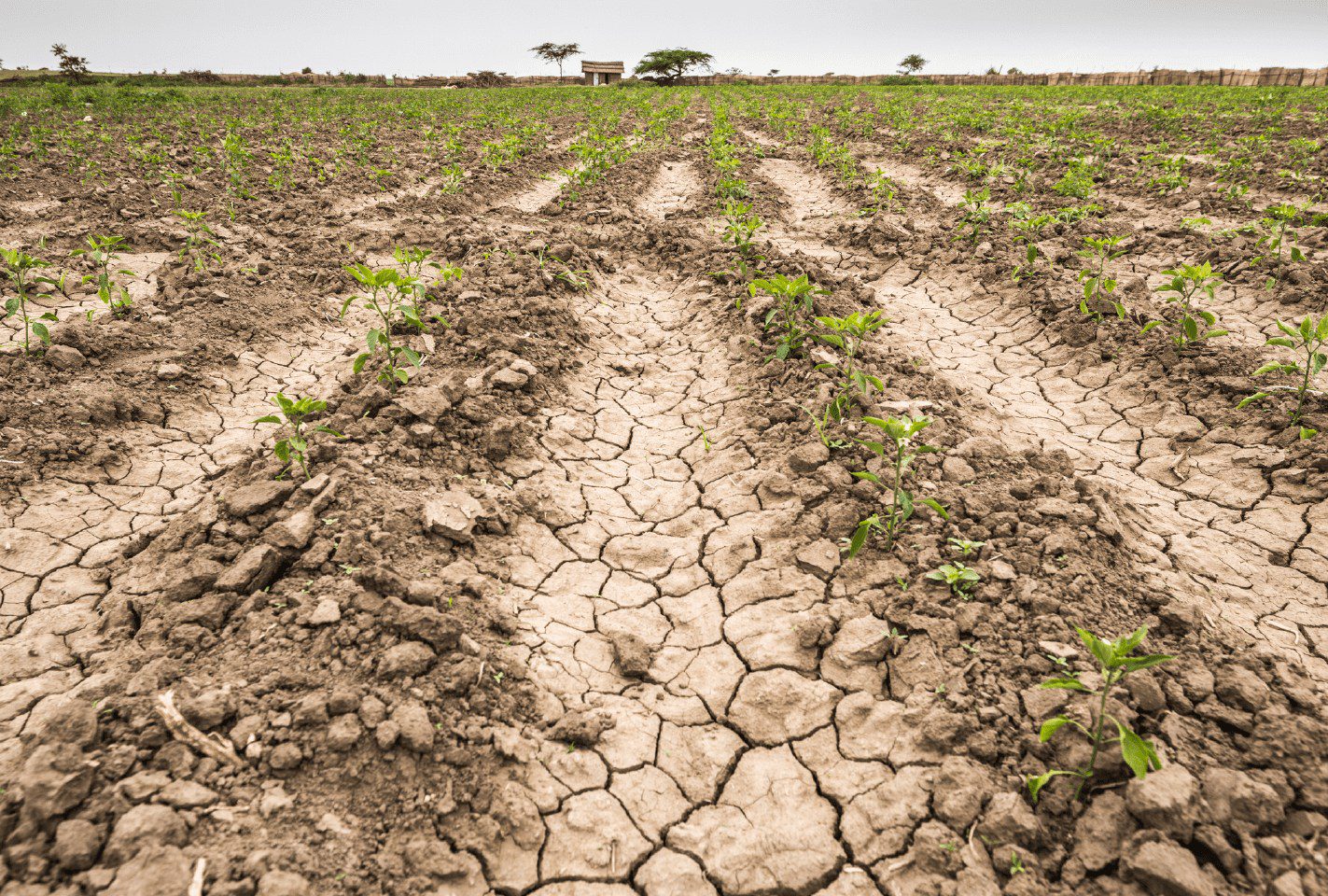 1681339341 924 ¡Es momento de cuidar el agua Los primeros meses de