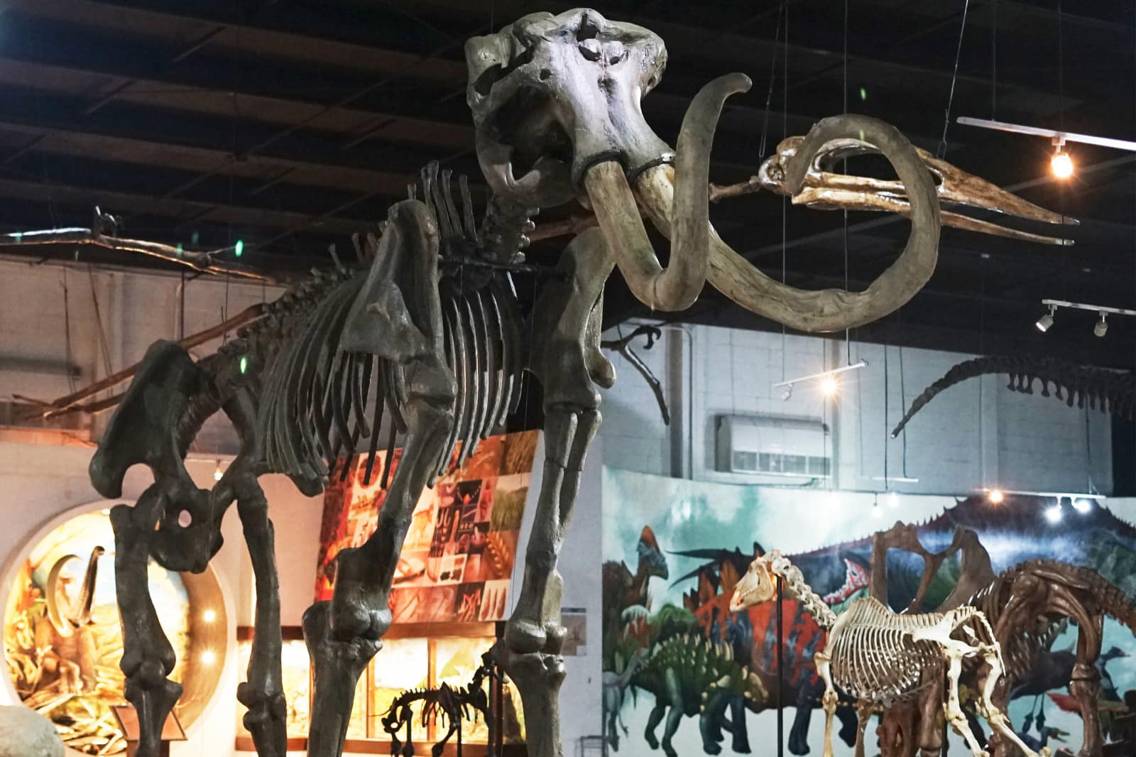 1681410740 48 ¿Ya conoces el Museo de Historia Natural de Ecatepec Aprovecha