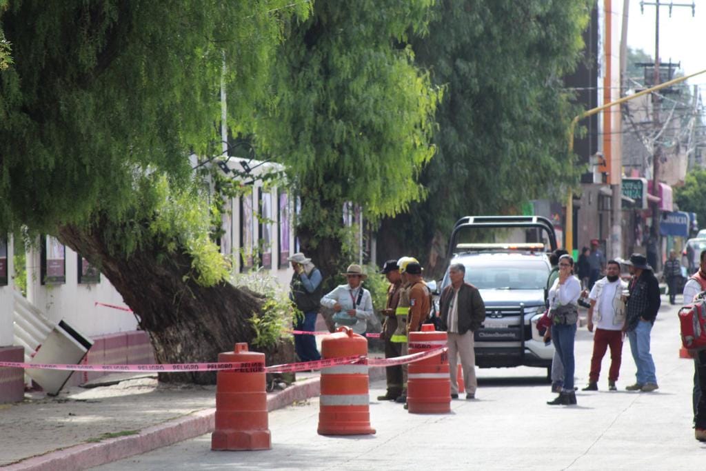 1681421304 165 RETIRO DE ARBOL COLAPSADO FRENTE A PLAZA DE LA IDENTIDAD