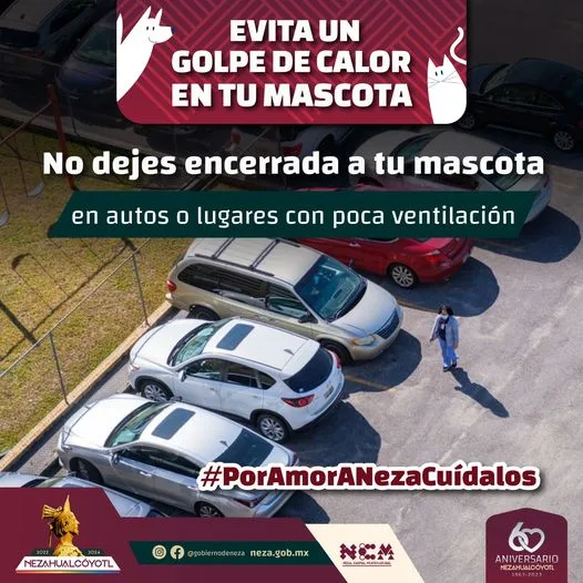 1681499807 DuenoResponsable No dejes encerrada a tu mascota en autos jpg