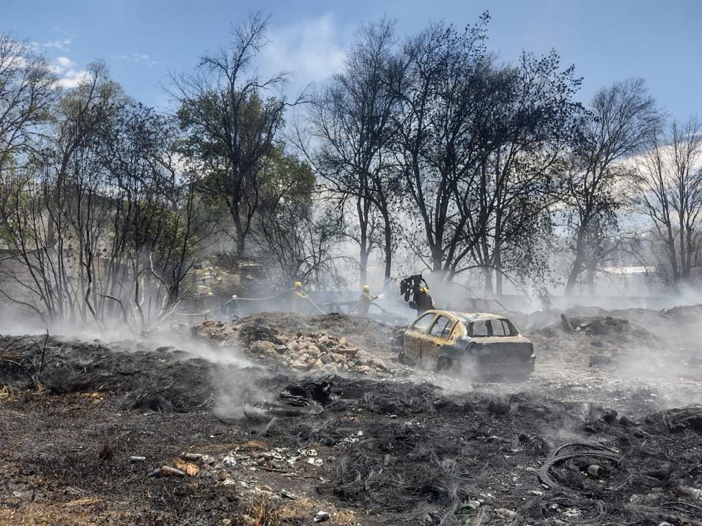 1681583010 936 Ante una denuncia ciudadana elementos de Proteccion Civil Municipal y