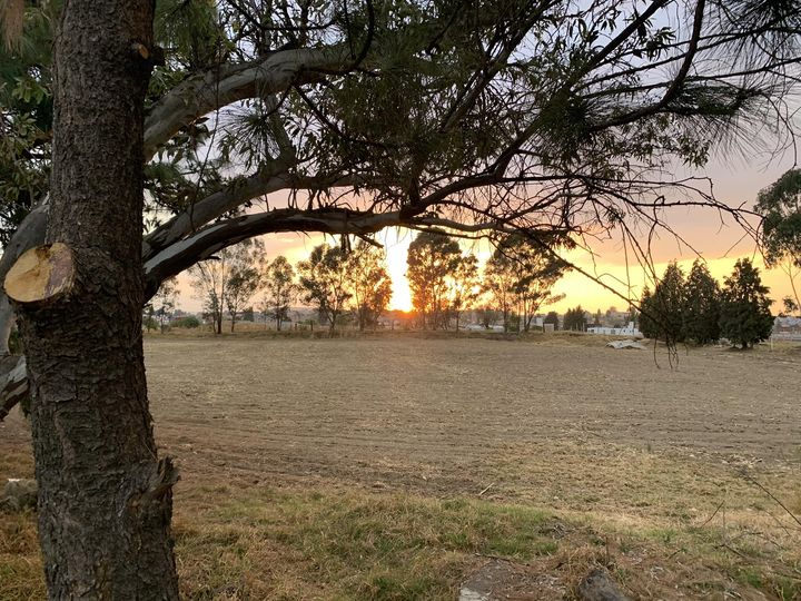 1681651312 Buenas tardes desde un rinconcito de Metepec