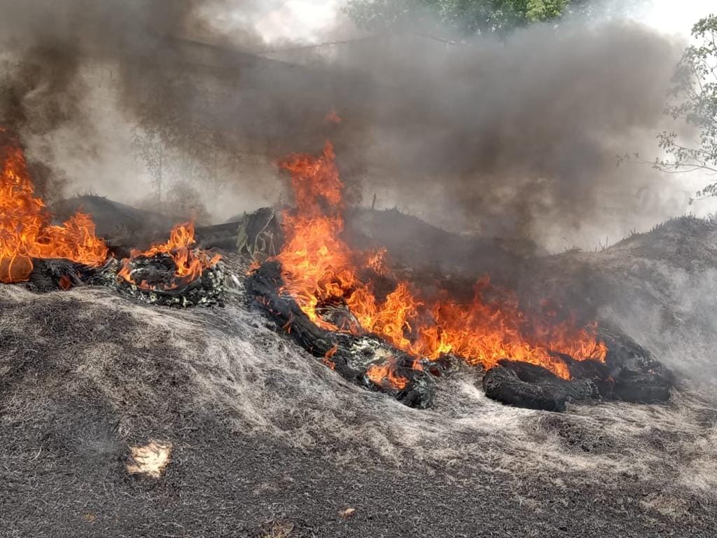 1681676842 747 Elementos de Proteccion Civil y Policia Municipal atienden el incendio