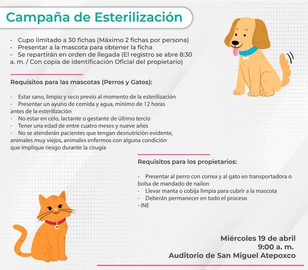 1681771436 Campana de Esterilizacion Canina y Felina en el auditorio jpg