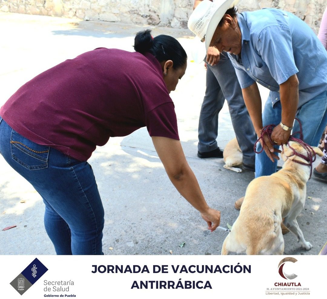 1681772358 573 Recuerda que esta semana continuamos vacunado a tus mascotas contra