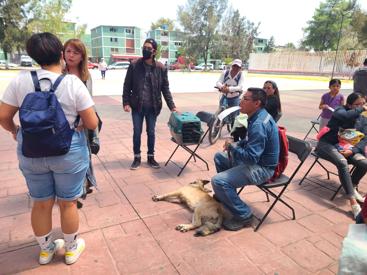 1681854561 202 Se llevo a cabo el dia de ayer Jornada de