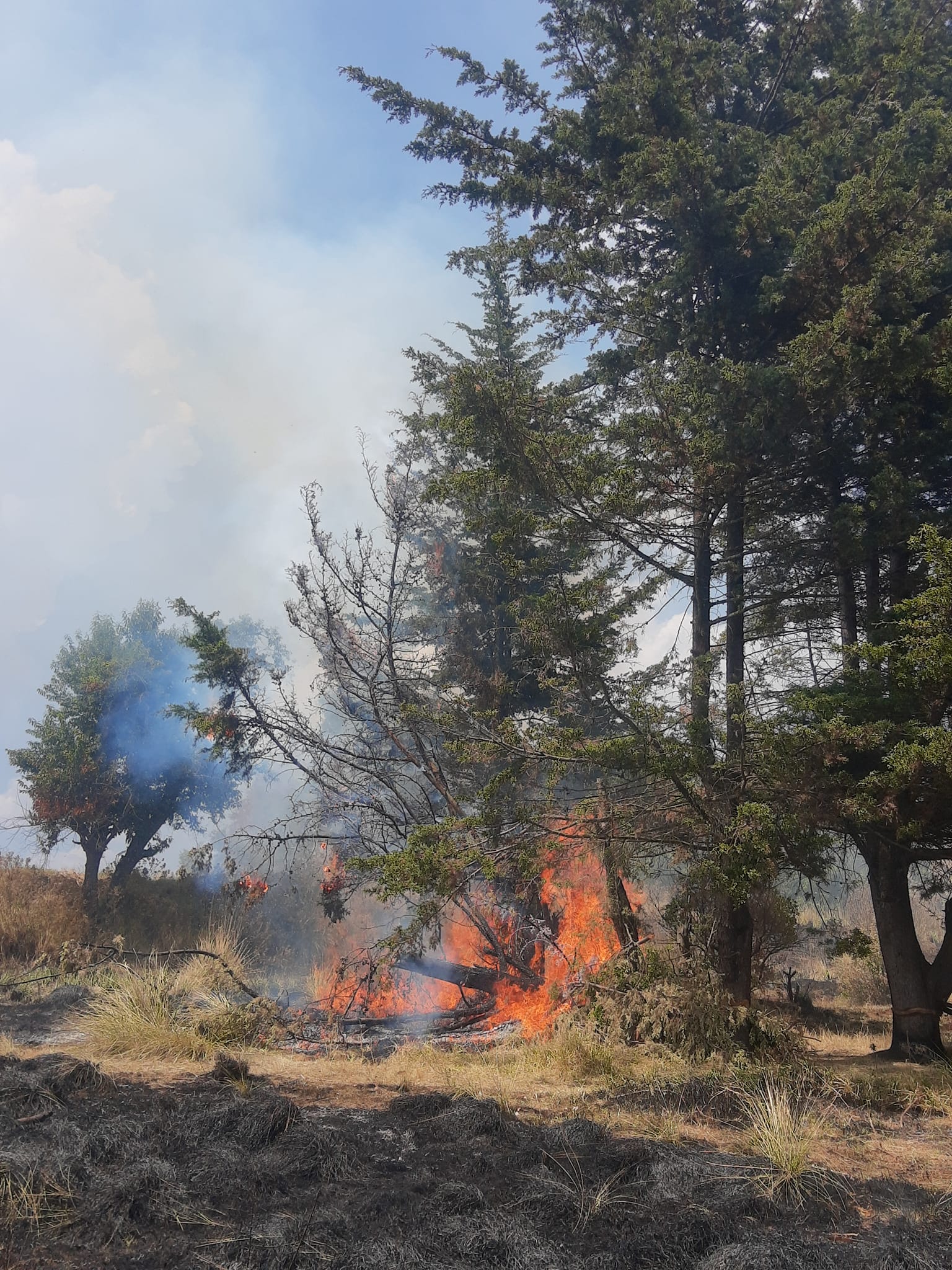 1681909899 117 Se controla y liquida incendio de pastizal en la colonia