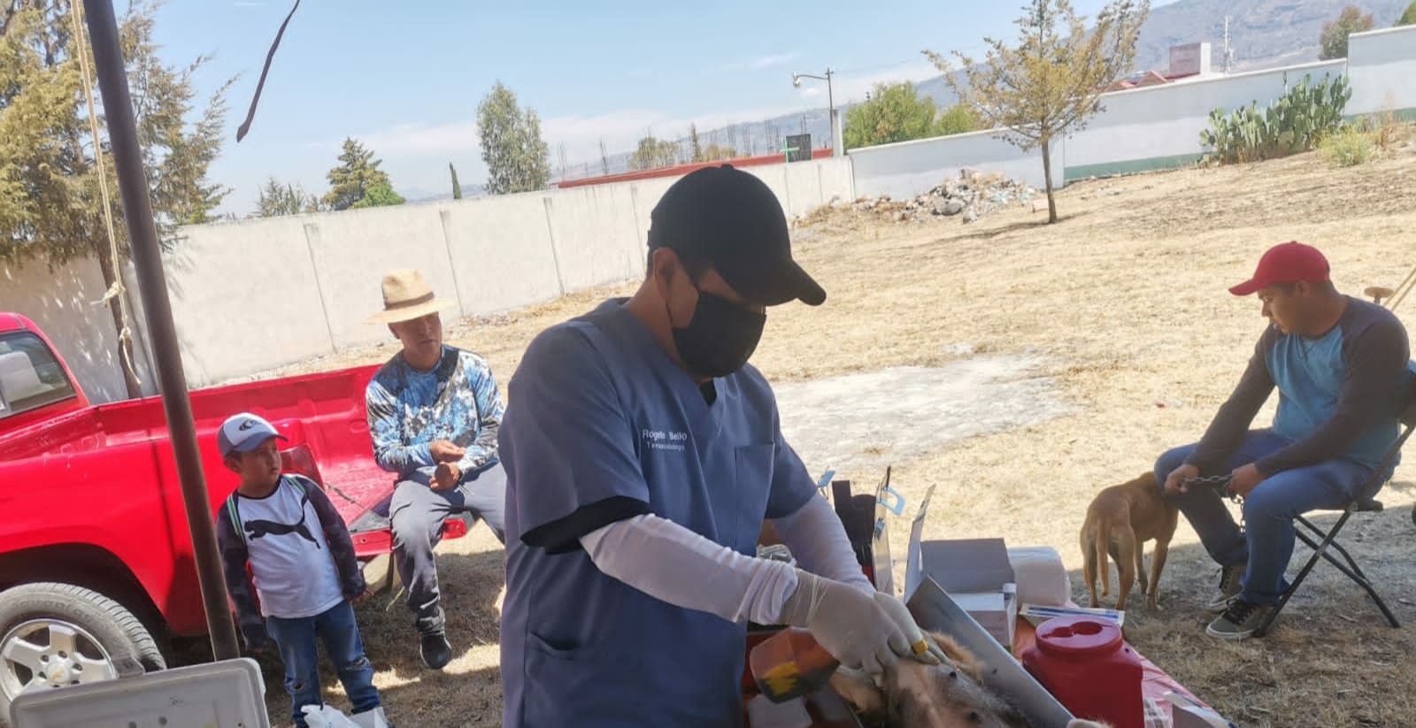 1681915481 260 Recuerda que esterilizar contribuye a la disminucion de la sobrepoblacion