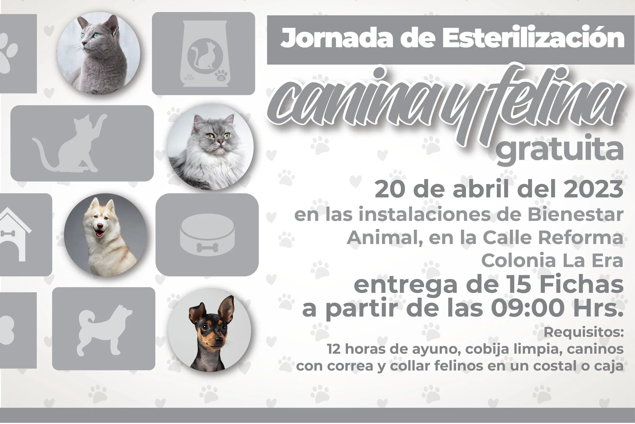 1681941796 Jornada de esterilizacion canina y felina jpg