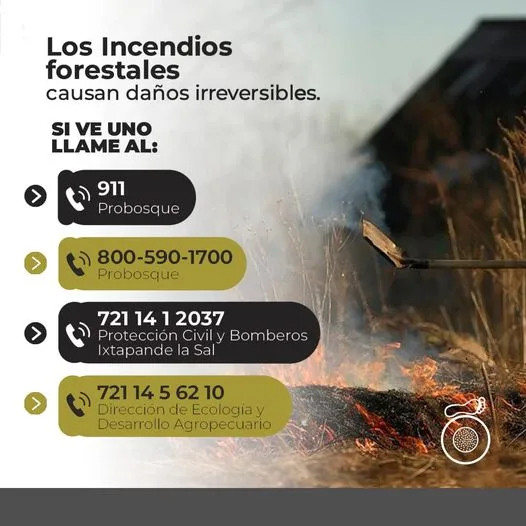 1681943153 El 90 de los incendios forestales son causados por jpg