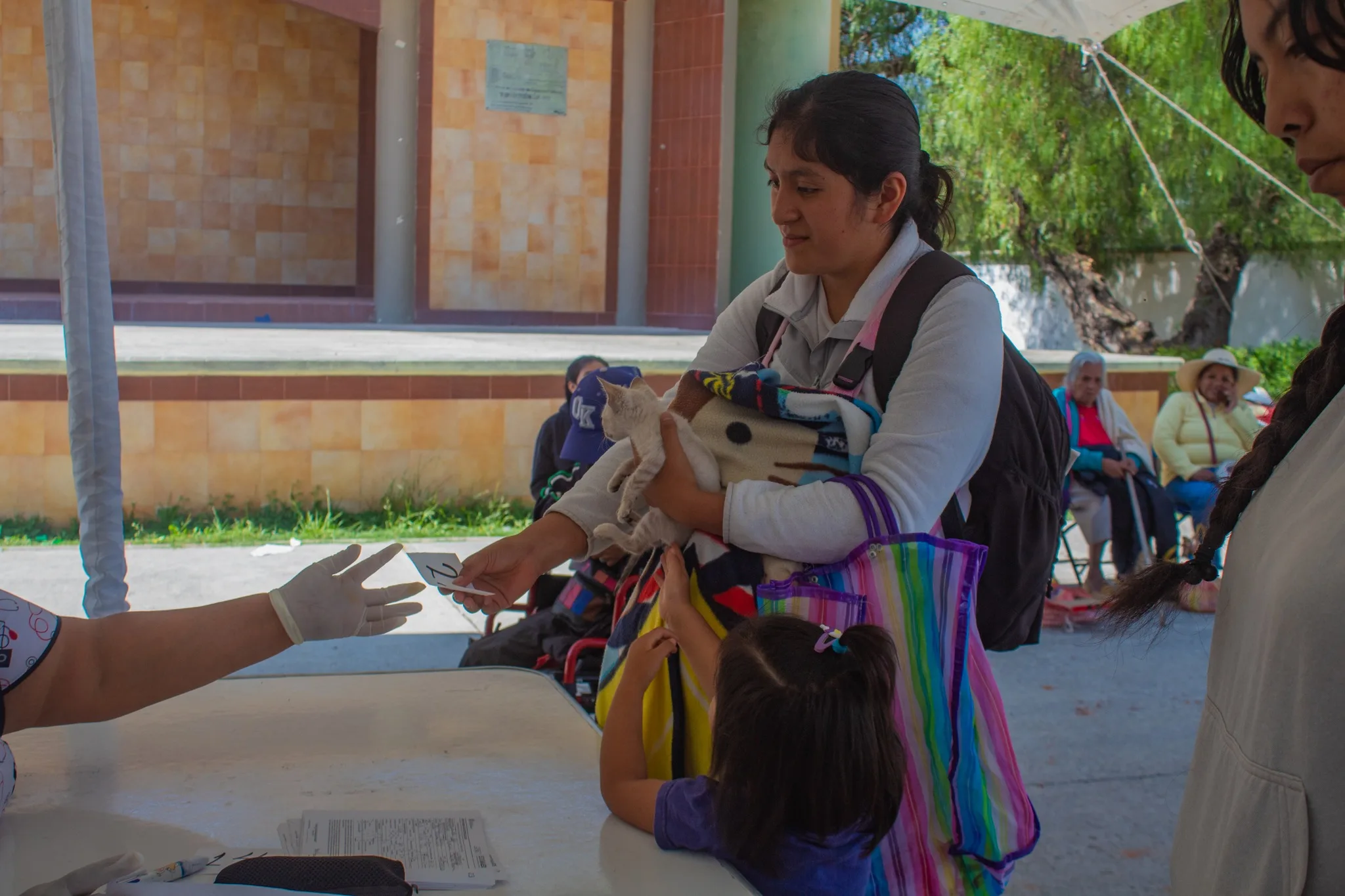 1682082801 Esterilizar a una mascota es un procedimiento beneficioso para la jpg