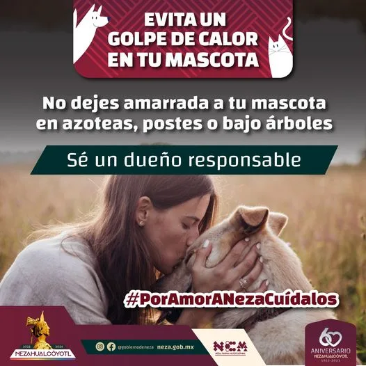 1682095012 DuenoResponsable En ningun momento dejes amarrada a tu mascota jpg