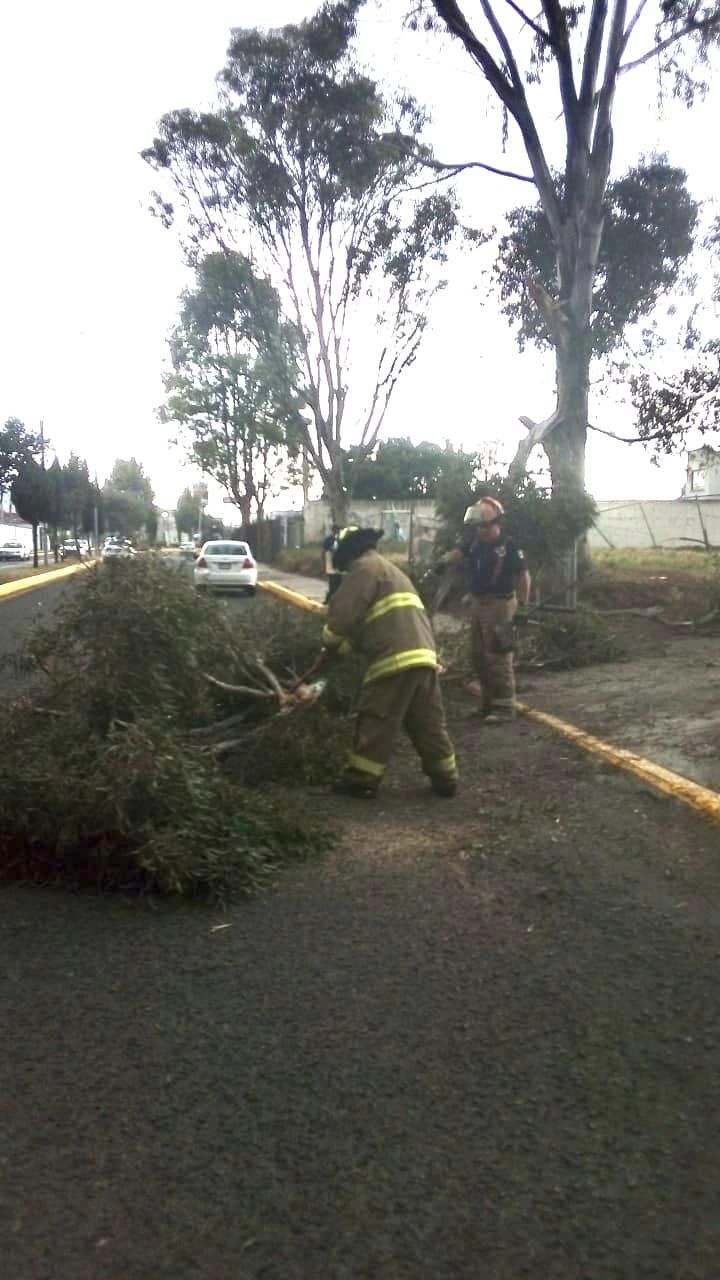 1682102357 790 De manera inmediata acudieron elementos de la Coordinacion de Proteccion